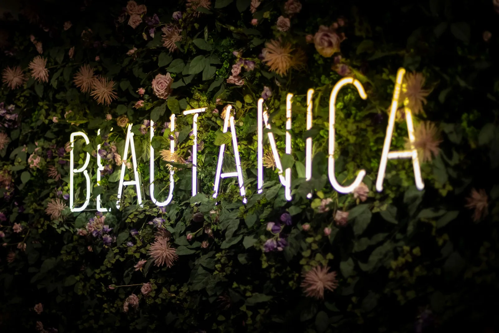 Beautanica Stimmungsbild 4